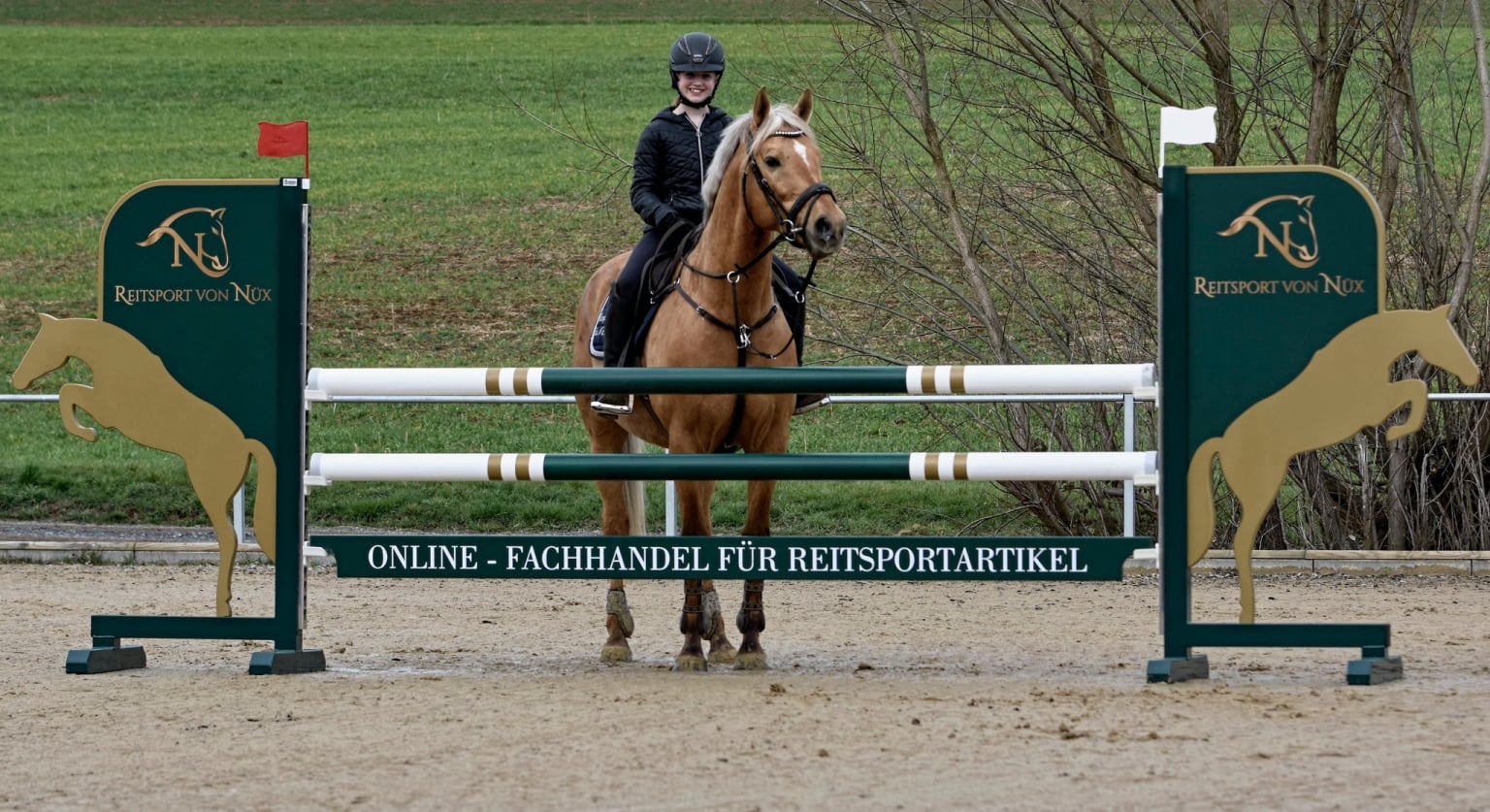 Soel'rings Cuvée Cremello Deckhengst mit geflochtener Mähne – Detailaufnahme des Kleinen Deutschen Reitpferdes vom Hengsthof Gut Nüxei im Harz