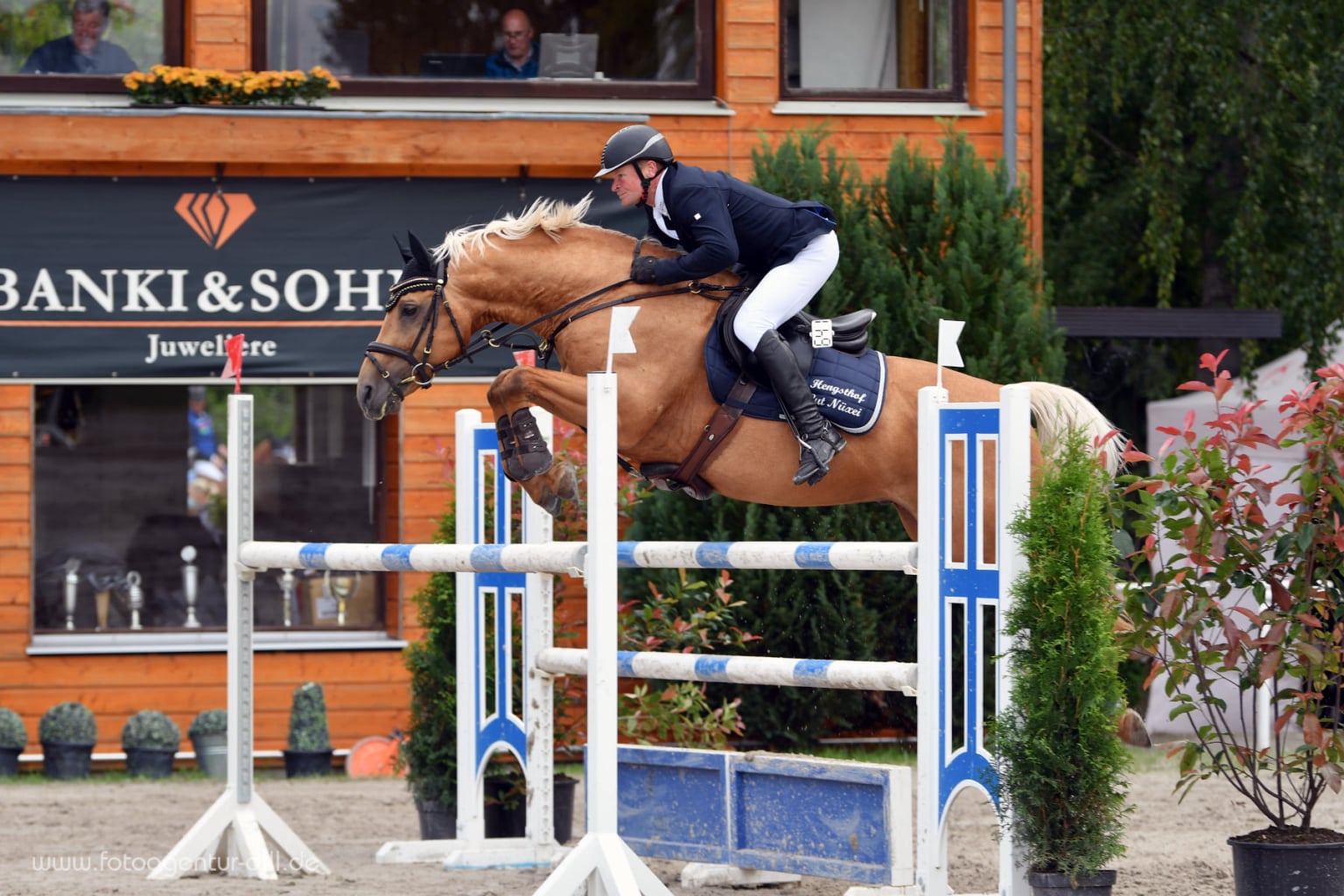 Soel'rings Cuvée Cremello Deckhengst mit geflochtener Mähne – Detailaufnahme des Kleinen Deutschen Reitpferdes vom Hengsthof Gut Nüxei im Harz