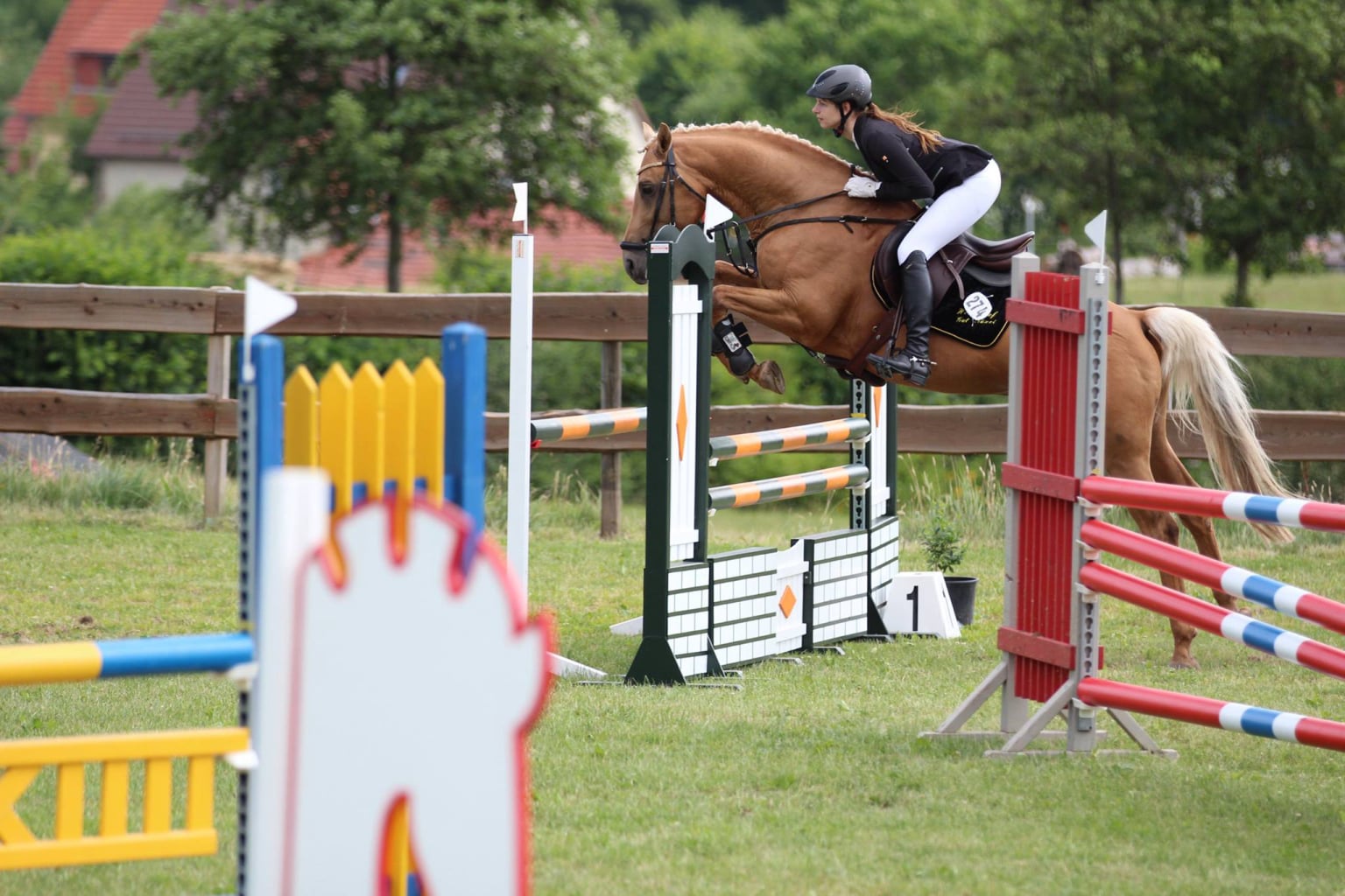 Soel'rings Cuvée Cremello Deckhengst mit geflochtener Mähne – Detailaufnahme des Kleinen Deutschen Reitpferdes vom Hengsthof Gut Nüxei im Harz