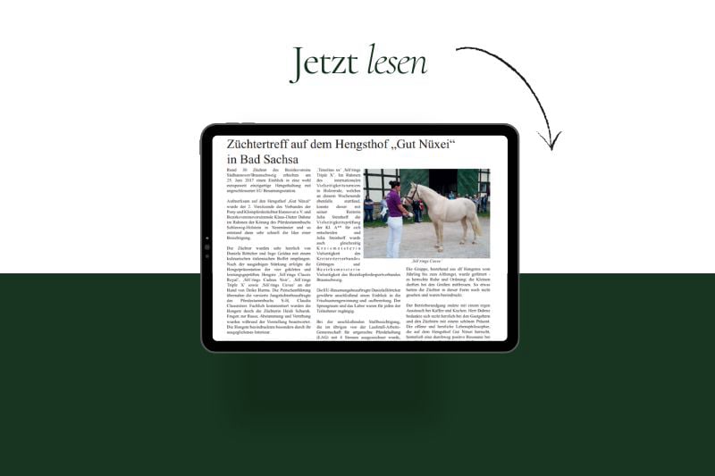 Züchtertreff auf dem Hengsthof Gut Nüxei Harz